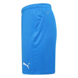 Puma Liga Core Shorts