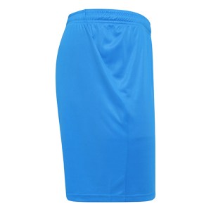 Puma Liga Core Shorts