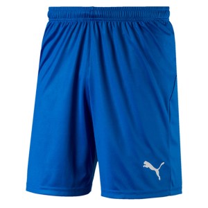 Puma Liga Core Shorts