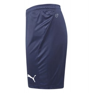 Puma Liga Core Shorts