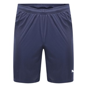 Puma Liga Core Shorts