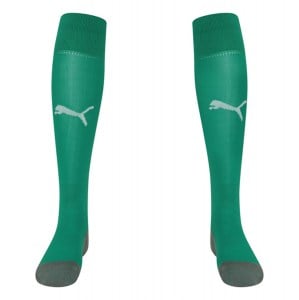 Puma Liga Core socks Pepper Green-White