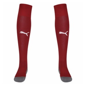 Puma Liga Core socks