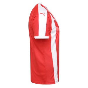 Puma Striped Short Sleeve Jersey