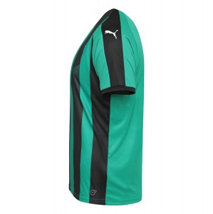Puma Striped Short Sleeve Jersey