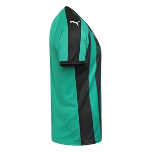 Puma Striped Short Sleeve Jersey