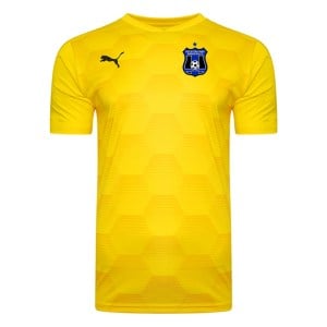 Puma Final Graphic Short Sleeve Jersey