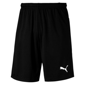 Puma Liga Pocketed Training Shorts