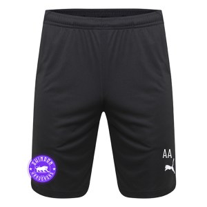 Puma Liga Pocketed Training Shorts