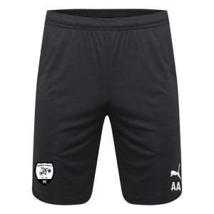 Puma Liga Pocketed Training Shorts