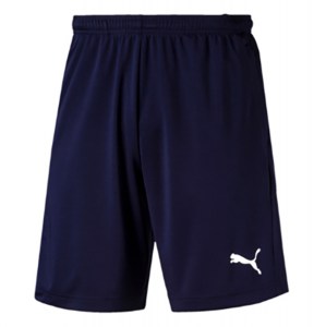 Puma Liga Pocketed Training Shorts