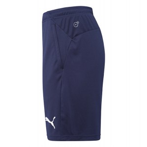 Puma Liga Pocketed Training Shorts