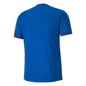 Puma Goal Short Sleeve Jersey