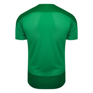 Puma Goal Training Shirt