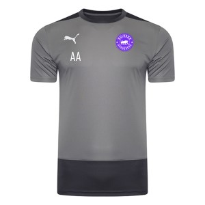 Puma Goal Training Shirt