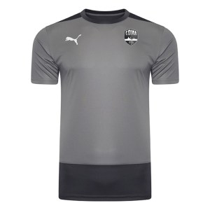 Puma Goal Training Shirt Grey-Asphalt