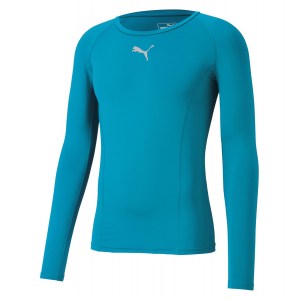 Puma Long Sleeve Baselayer Aquarius