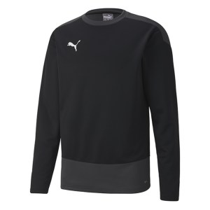 Puma Goal Training Sweat