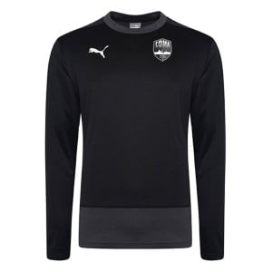 Puma Goal Training Sweat