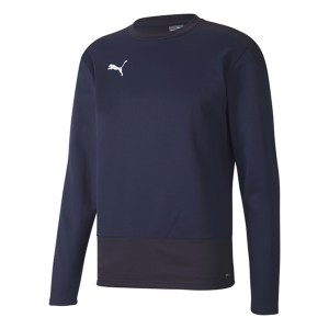 Puma Goal Training Sweat