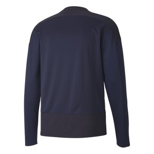 Puma Goal Training Sweat