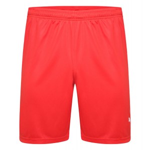 Puma Liga Shorts Red-White