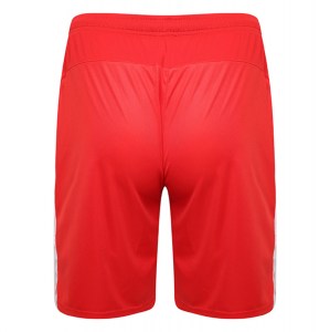 Puma Liga Shorts Red-White