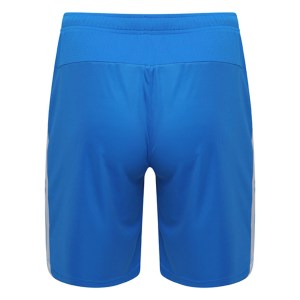 Puma Liga Shorts
