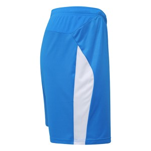 Puma Liga Shorts