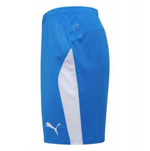 Puma Liga Shorts