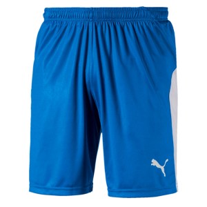 Puma Liga Shorts