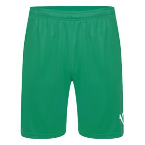 Puma Liga Shorts