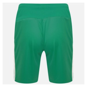 Puma Liga Shorts