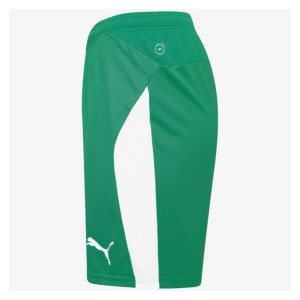 Puma Liga Shorts