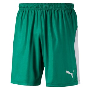 Puma Liga Shorts