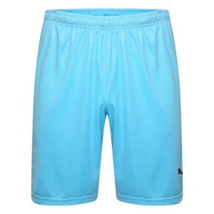 Puma Liga Shorts