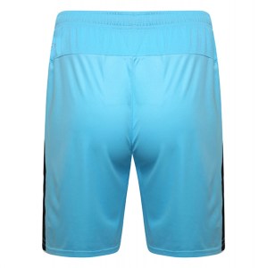 Puma Liga Shorts