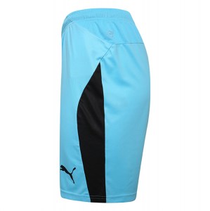 Puma Liga Shorts