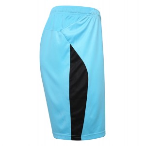 Puma Liga Shorts