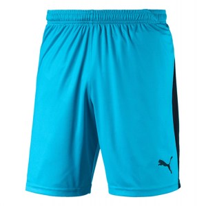 Puma Liga Shorts