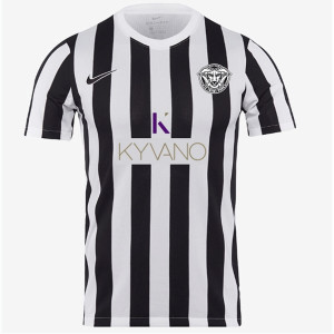 Nike Striped Division IV Short Sleeve Jersey