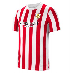 Nike Striped Division IV Short Sleeve Jersey