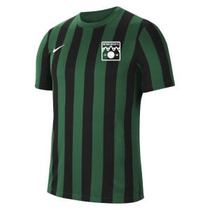 Nike Striped Division IV Short Sleeve Jersey