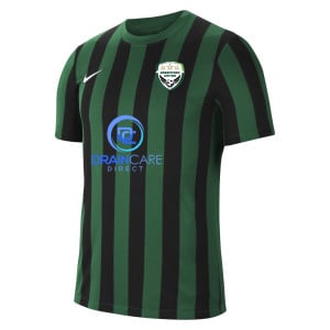 Nike Striped Division IV Short Sleeve Jersey