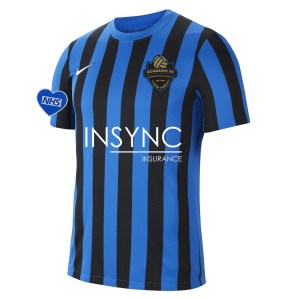 Nike Striped Division IV Short Sleeve Jersey