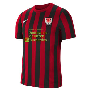 Nike Striped Division IV Short Sleeve Jersey