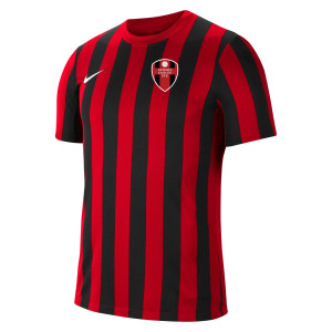 Nike Striped Division IV Short Sleeve Jersey