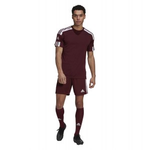 adidas Squadra 21 Short Sleeve Shirt (M) Team Maroon-White