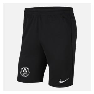 Nike Park 20 Pocketed Shorts (M)