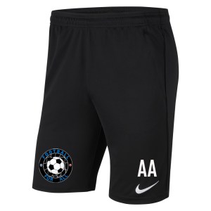 Nike Park 20 Pocketed Shorts (M)